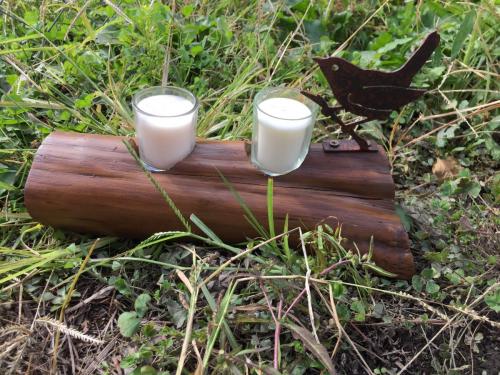 centerpiece-branch-with-bird-and-2-votives